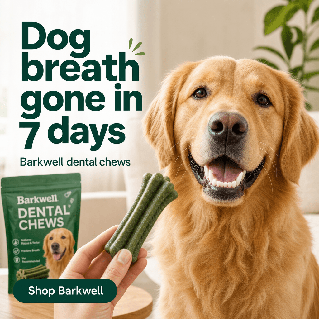Pet brand concept static ad generated by the Creative Engine