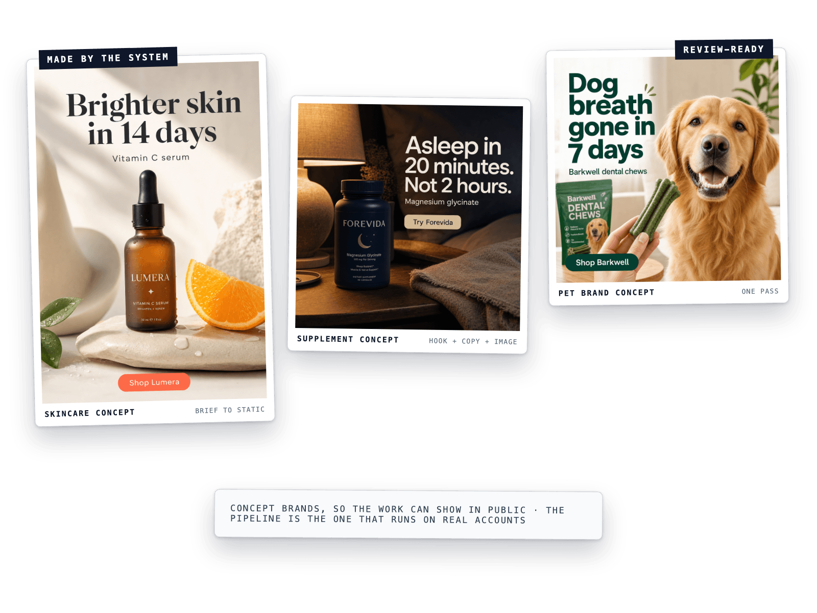 Three finished concept-brand static ads generated end to end by the Creative Engine workflow: skincare, supplement, and pet brand